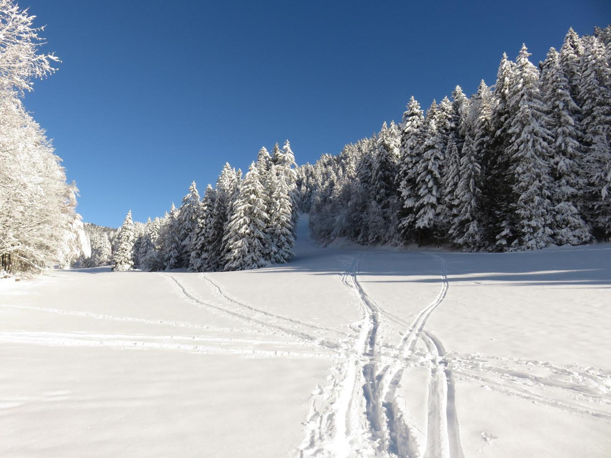 Вілла Gite La Resilience, Sur La Piste De Ski D'Autrans Екстер'єр фото